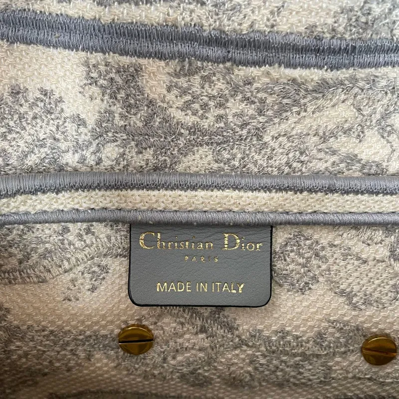 Dior Saddle Medium Canvas Weiß/Grau