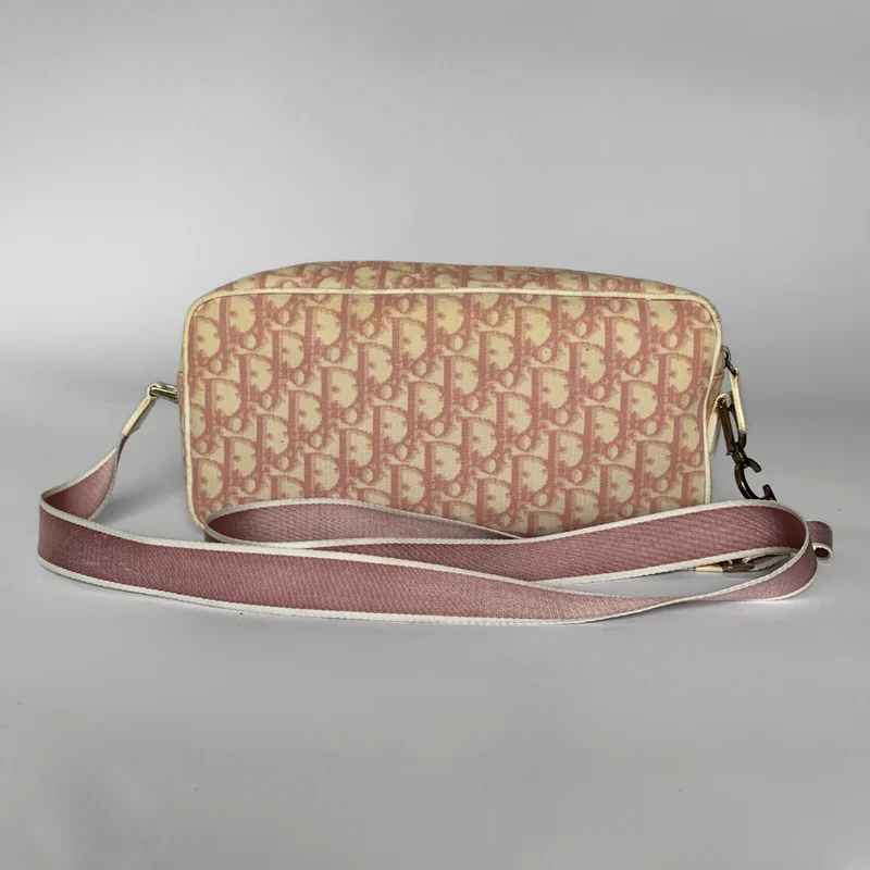 Dior Messenger schuin canvas