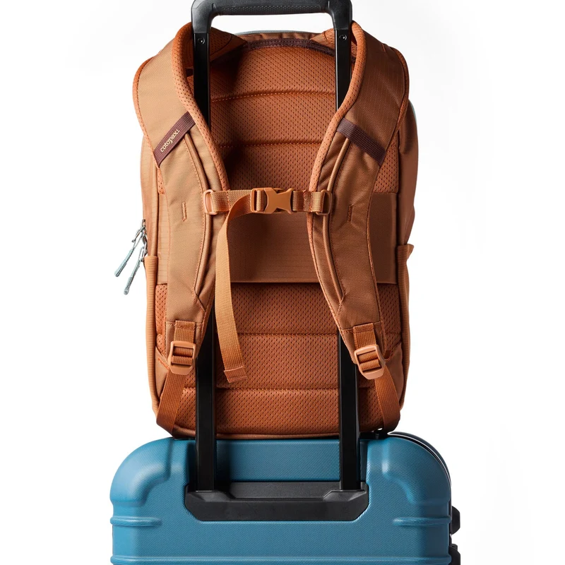 Cotopaxi Allpa 18L Daypack - Rucksack 43 cm (whiskey)