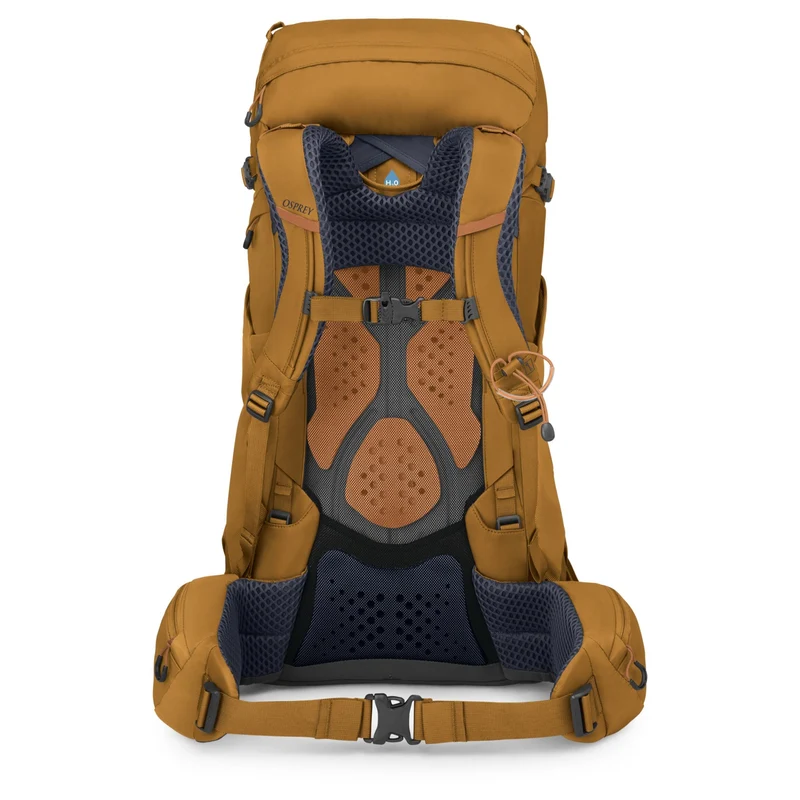 Osprey Kyte 38 Women M/L - Trekkingrucksack 71 cm (barley brown)